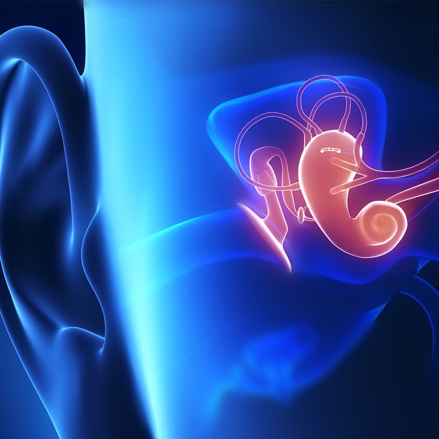 Computer generated image of middle ear anatomy