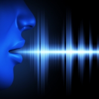 voice